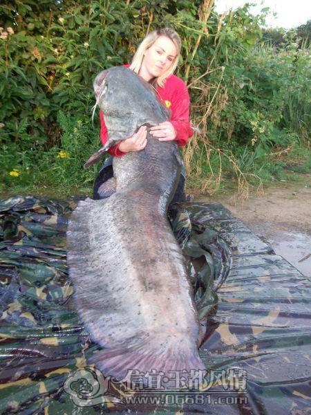 a_few_fishermens_biggest_catches_ever_640_01[1].jpg