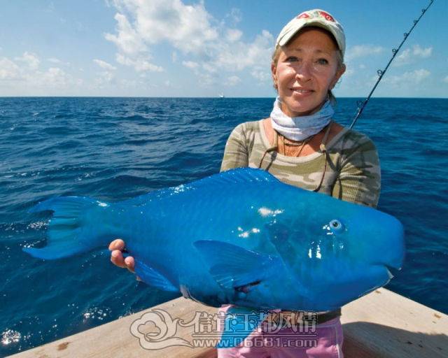 a_few_fishermens_biggest_catches_ever_640_02[1].jpg