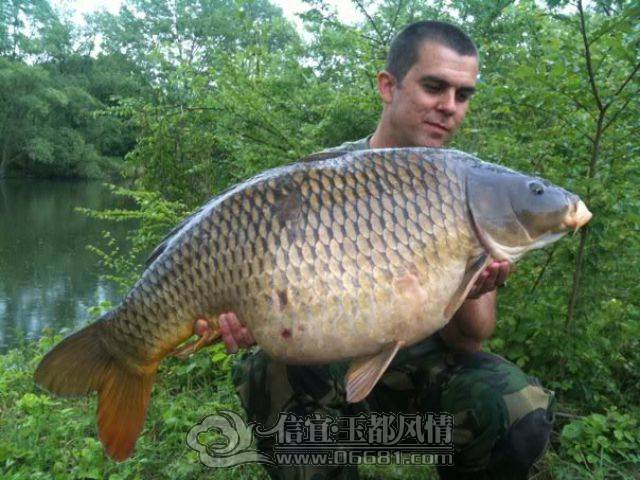 a_few_fishermens_biggest_catches_ever_640_05[1].jpg