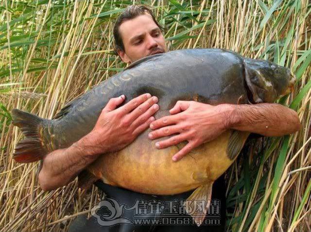 a_few_fishermens_biggest_catches_ever_640_07[1].jpg