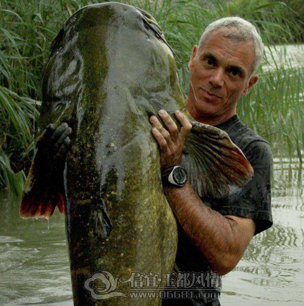 a_few_fishermens_biggest_catches_ever_640_17[1].jpg