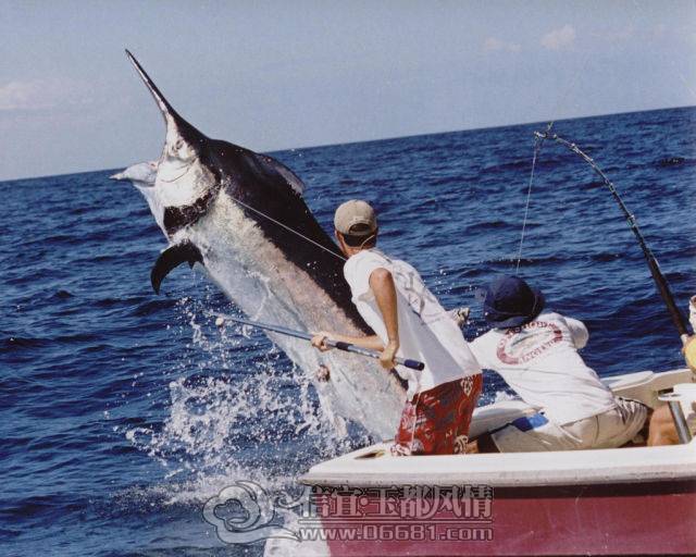 a_few_fishermens_biggest_catches_ever_640_21[1].jpg