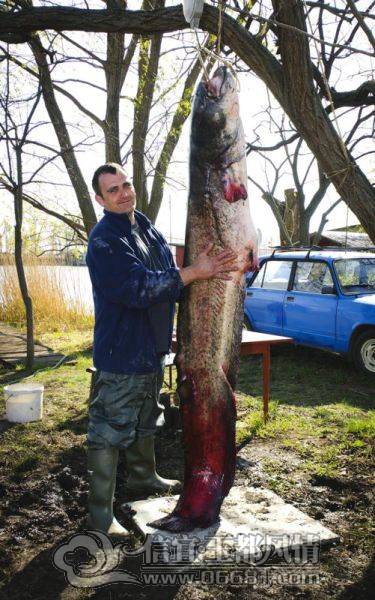 a_few_fishermens_biggest_catches_ever_640_24[1].jpg