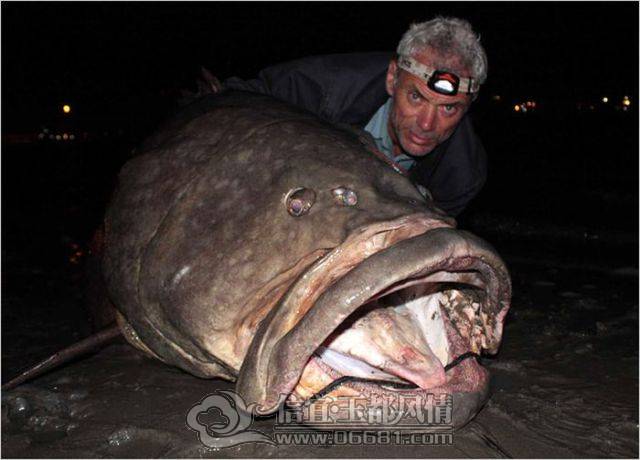 a_few_fishermens_biggest_catches_ever_640_26[1].jpg