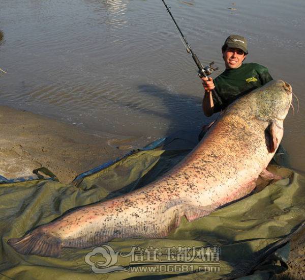 a_few_fishermens_biggest_catches_ever_640_35[1].jpg