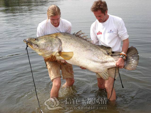 a_few_fishermens_biggest_catches_ever_640_36[1].jpg
