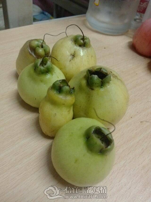 psb0000.jpg