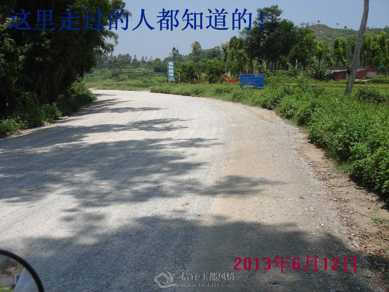 DSC01616.JPG