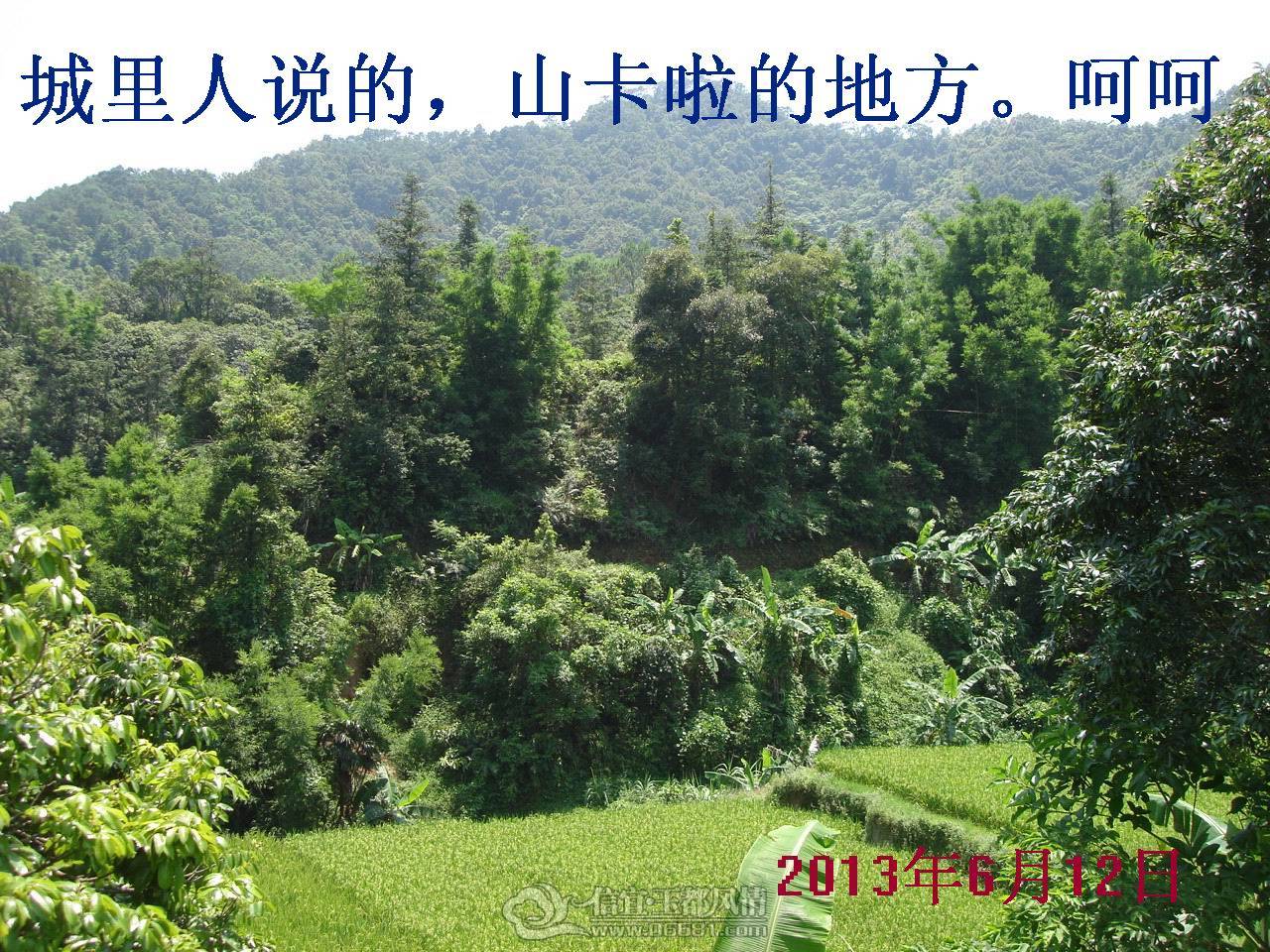 DSC01633.JPG