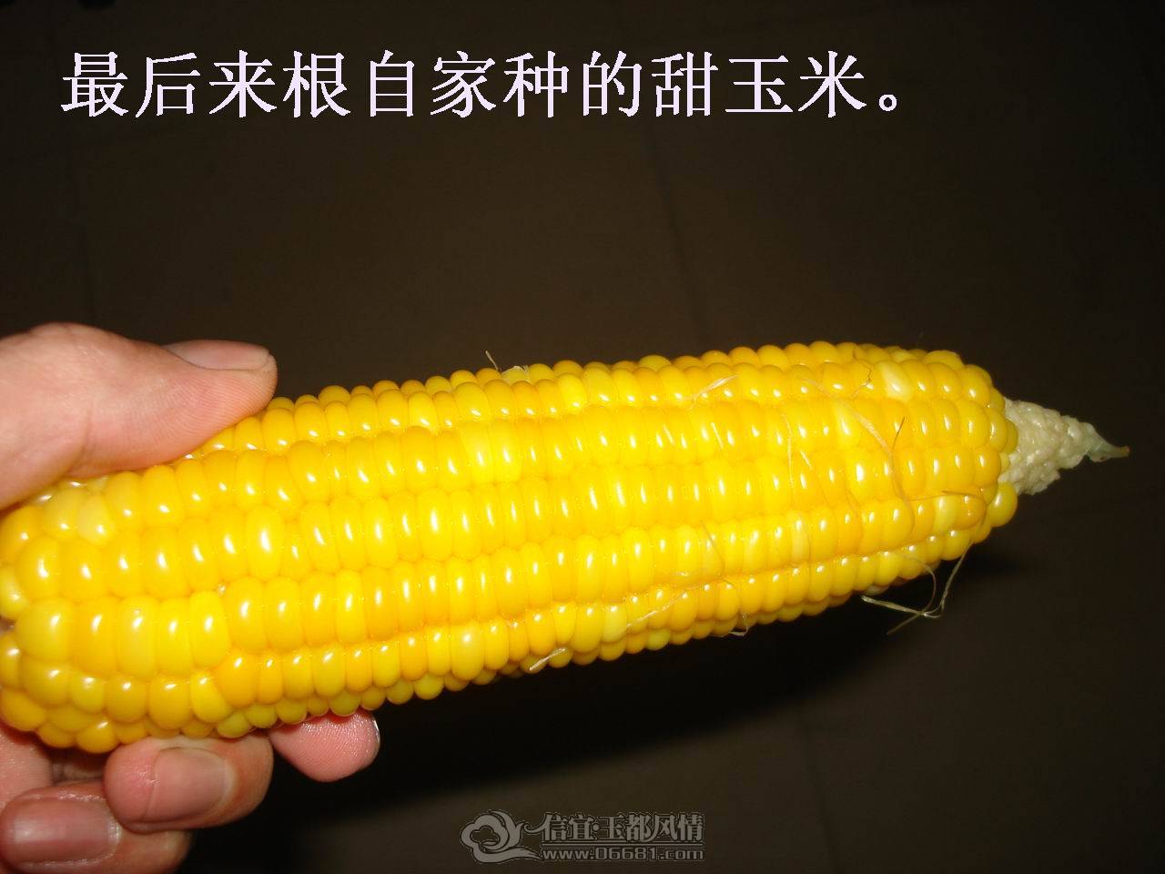 DSC01639.JPG