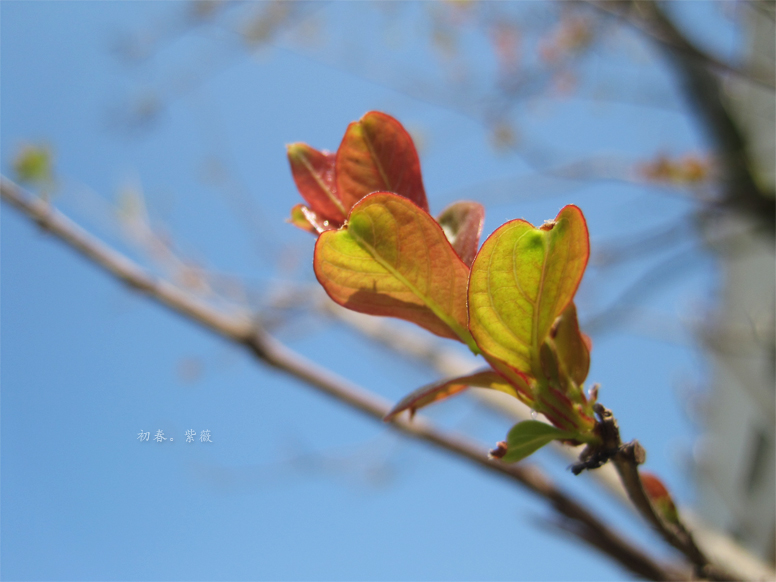 spring w8.jpg