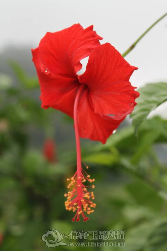 DPP_0036.JPG
