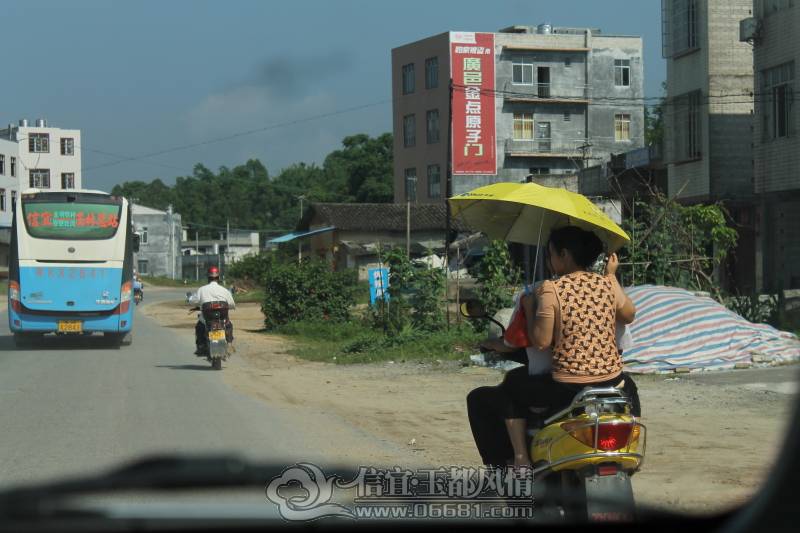 DPP_0053.JPG