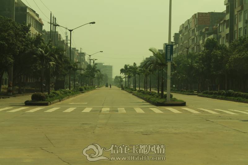 DPP_0063.JPG