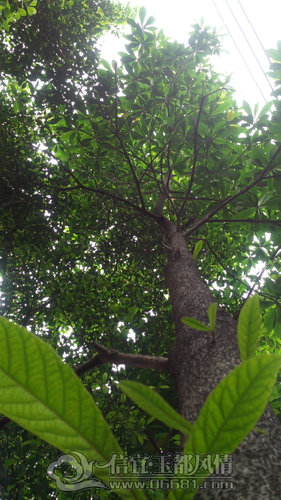 QQ��ͼ20130613204105.png