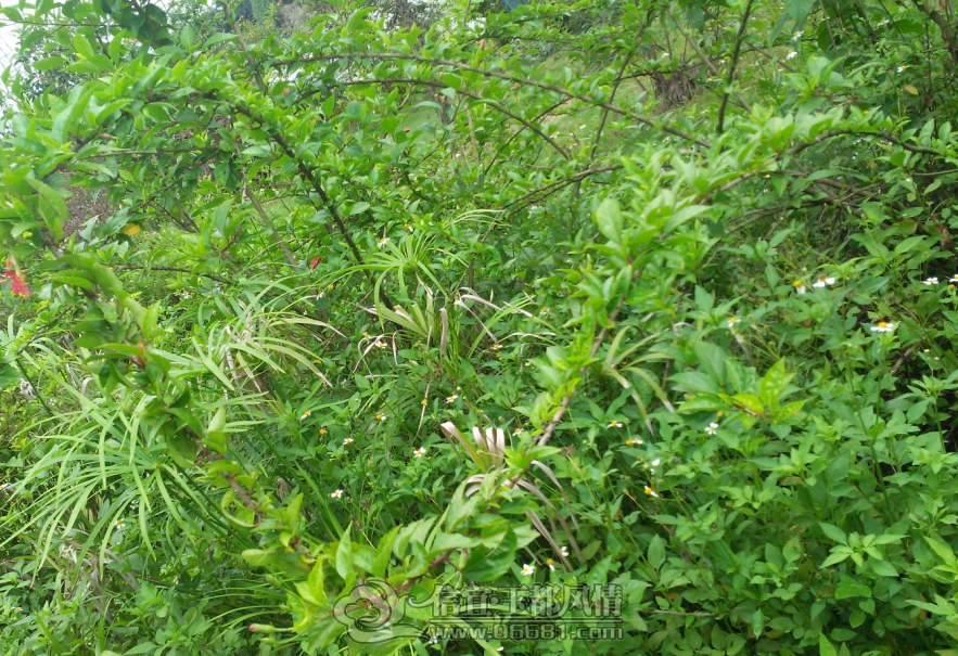 QQ��ͼ20130613204212.png