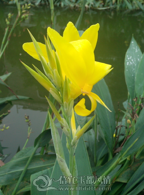 QQ��ͼ20130613204301.png