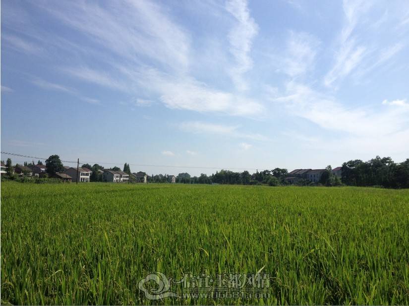 QQͼƬ20130616121231.jpg
