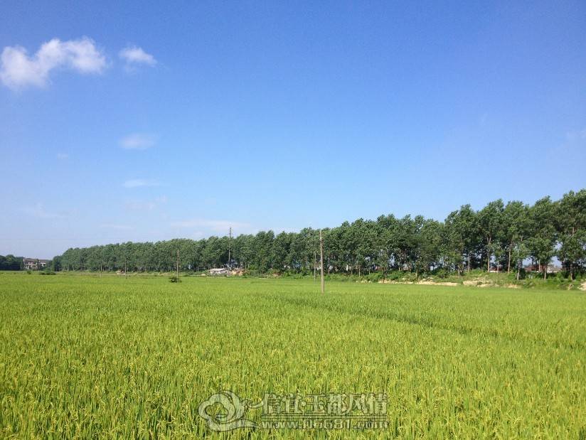 QQͼƬ20130616121243.jpg