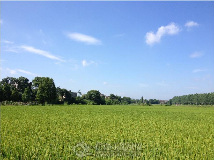 QQͼƬ20130616121257.jpg