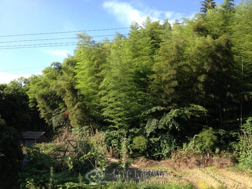QQͼƬ20130616121334.jpg