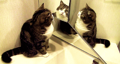 ���н����в������Ҳ���.gif