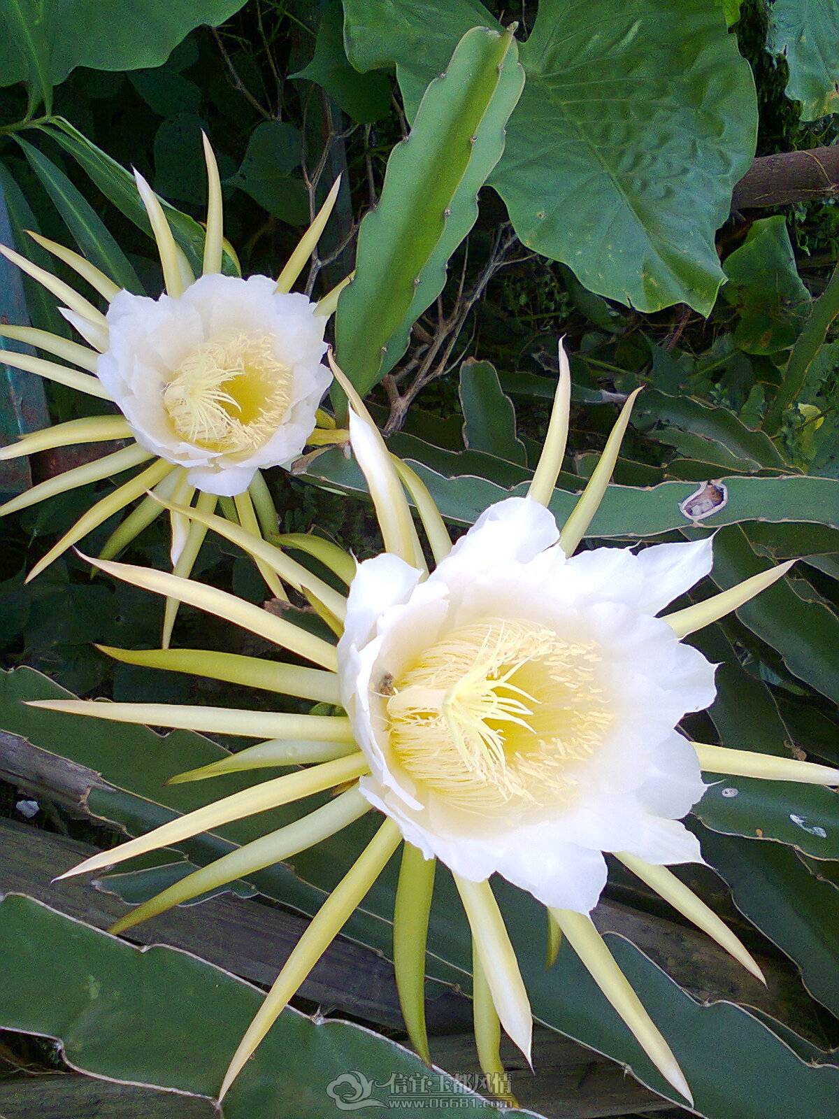 ��Ƭ0057.jpg