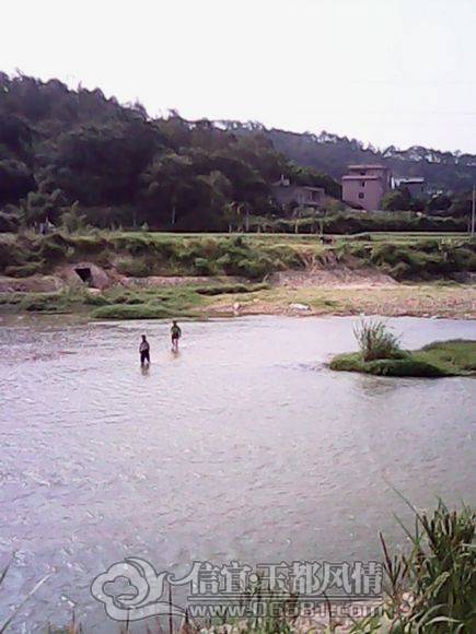 IMG_20130621_091658.jpg
