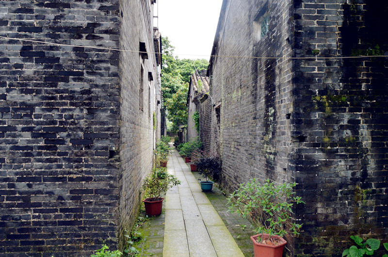 DSC_0325_����.jpg