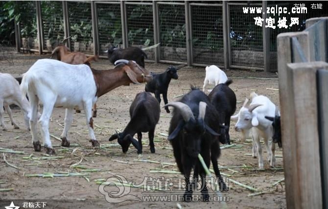 ����԰�ĵģ�һ��ʼ���յ�ʱ����������Ҳûע�⵽��ֻ������˵��������ô������ɫ�ģ�ͷ������һ���ģ���