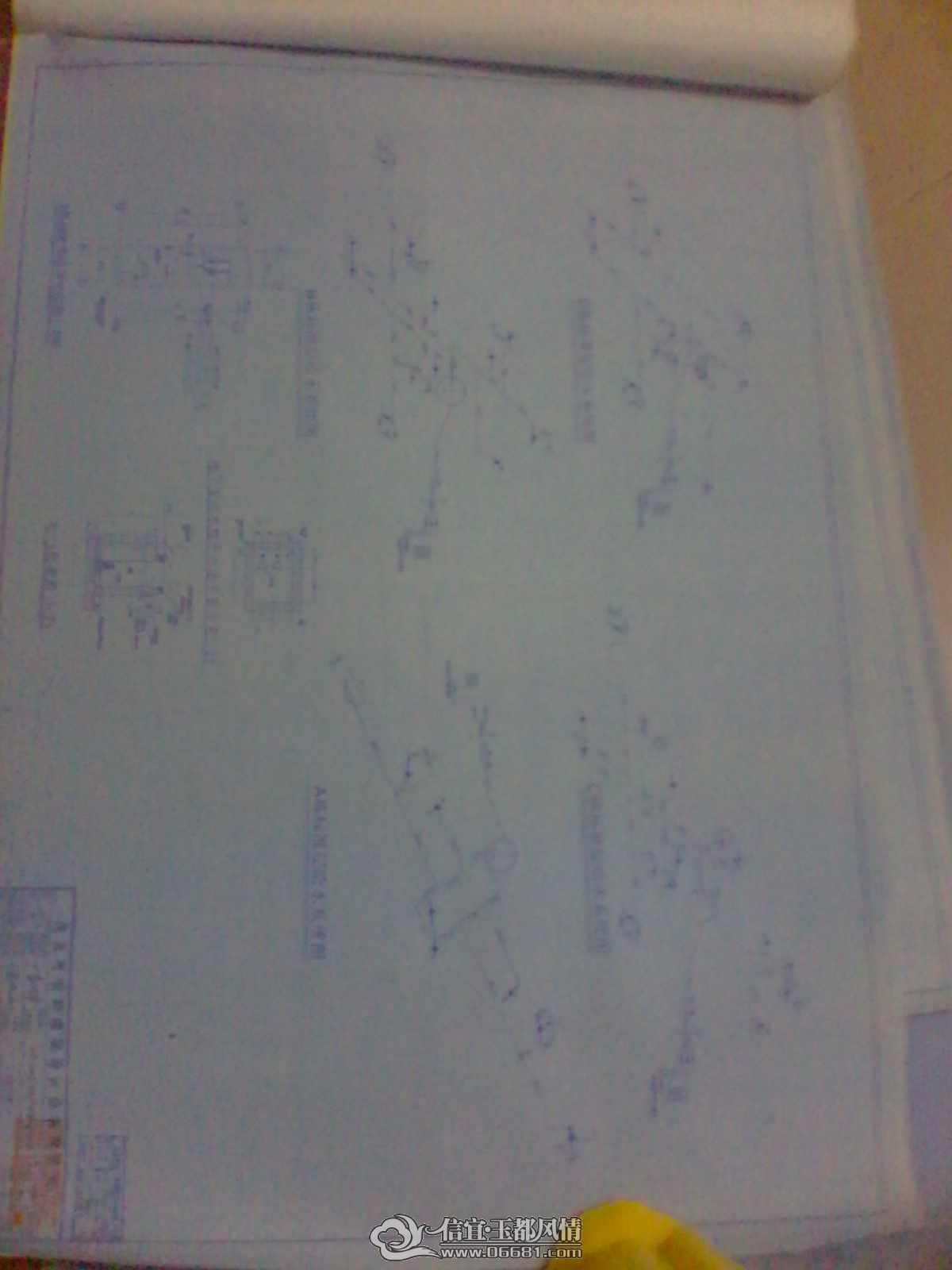 microMsg.1372431184556.jpg