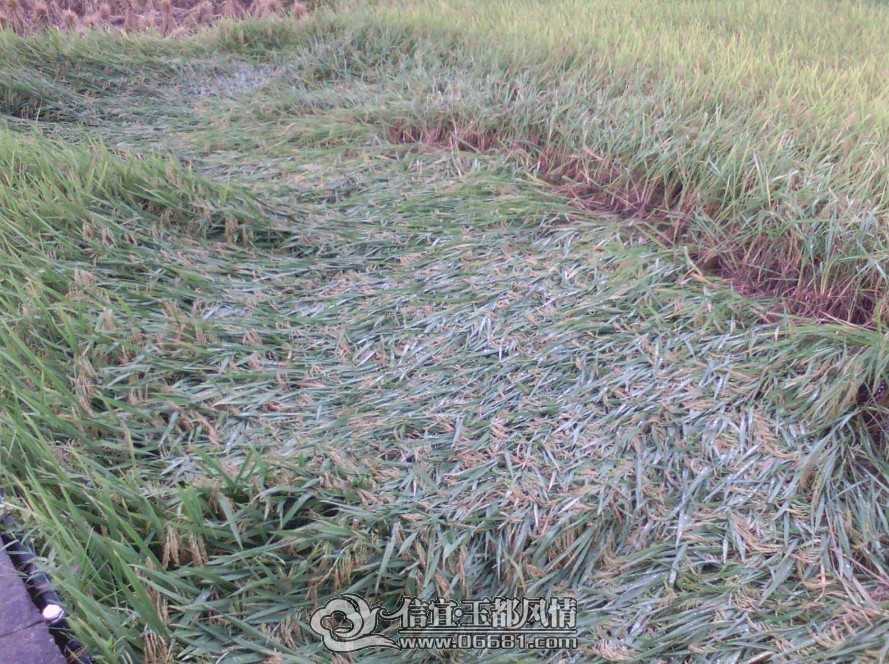 2573.jpg