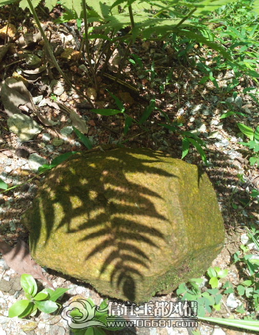 QQ��ͼ20130705125515.png