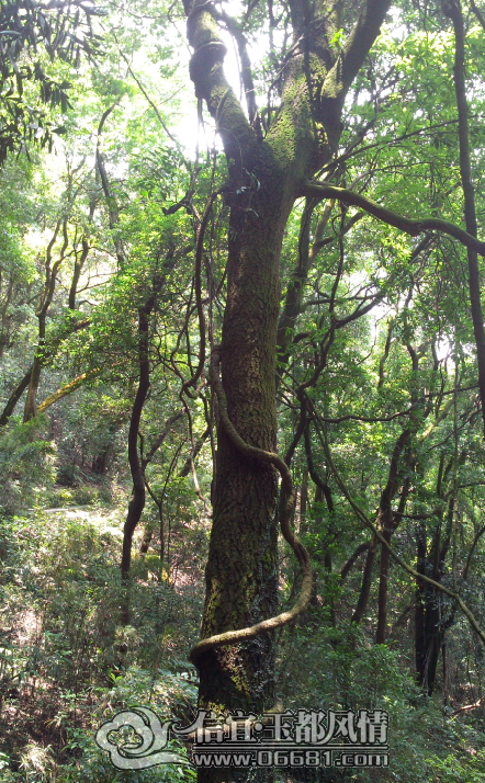 QQ��ͼ20130705125530.png