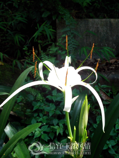 QQ��ͼ20130705125553.png