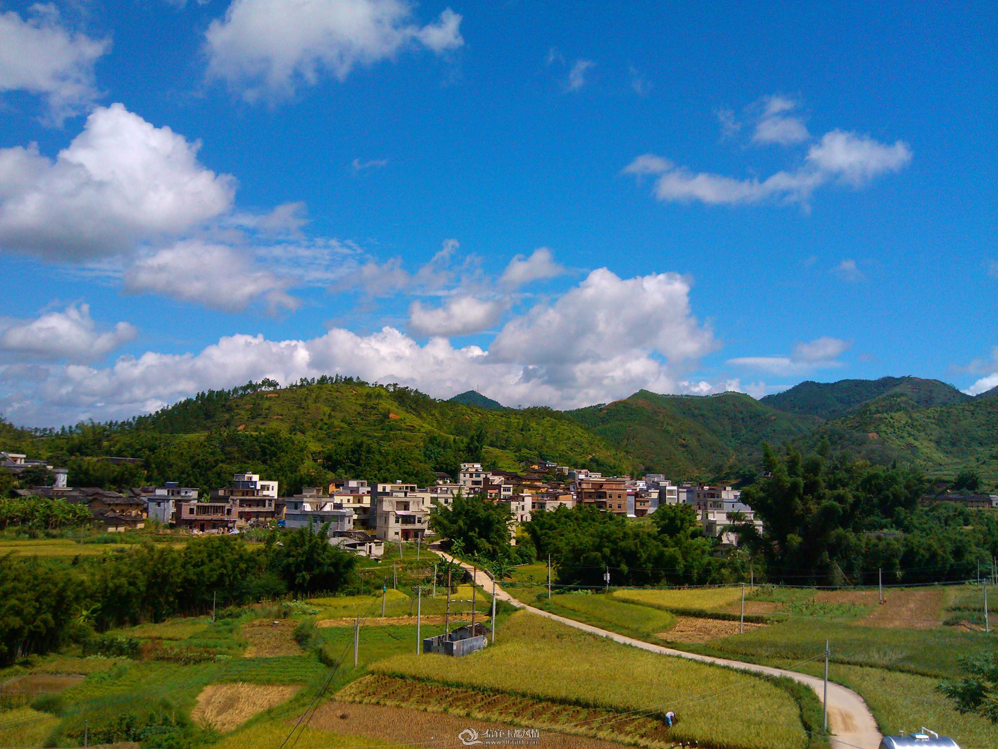 IMG_20130709_1029531.jpg