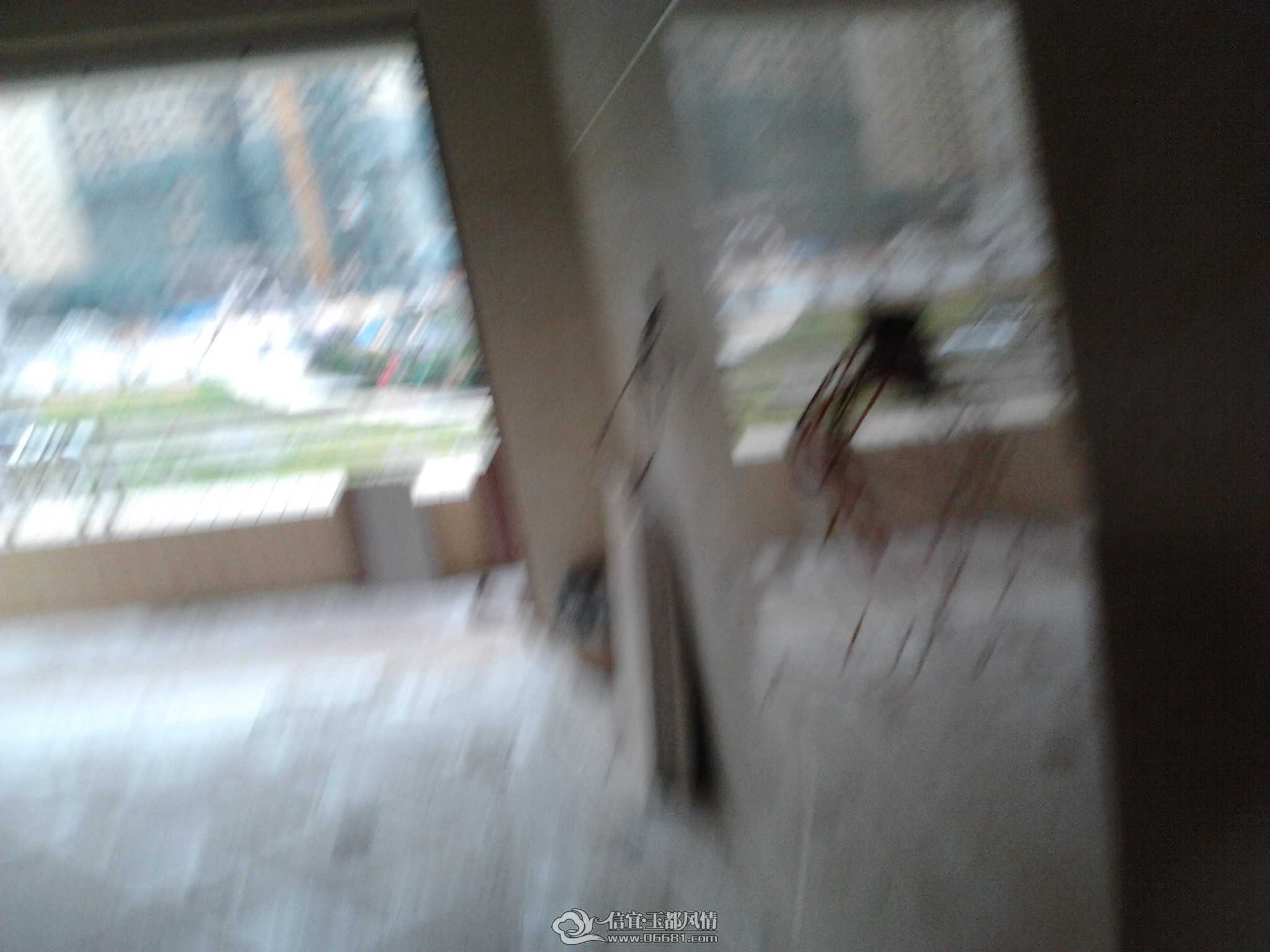 IMG_20120617_162753.jpg