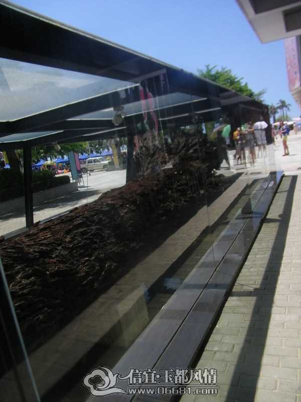 psb (20).jpg