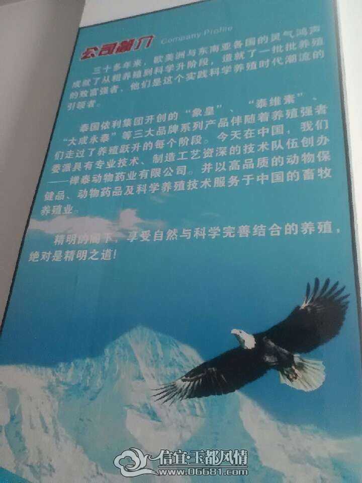 QQͼƬ20090524023808.jpg