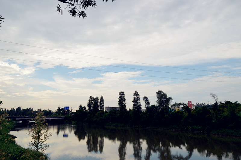 DSC_0958_����.jpg