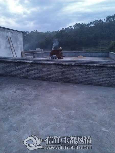 IMAG5936.jpg