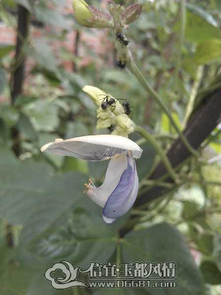 IMAG5811.jpg