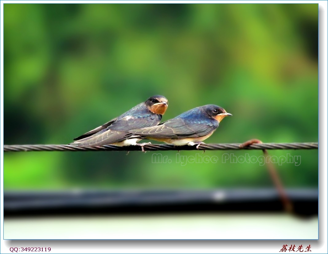 nEO_IMG_��Ƭ 016.jpg