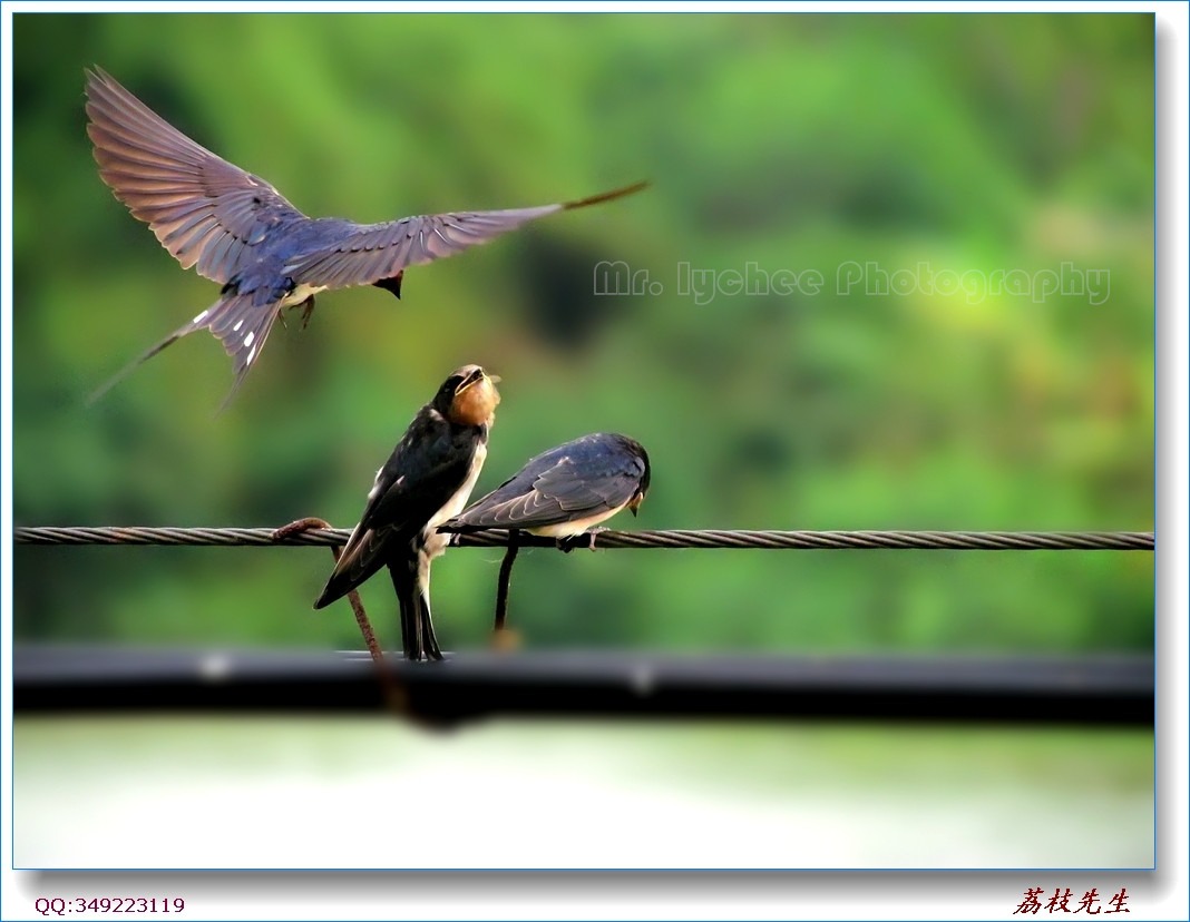 nEO_IMG_��Ƭ 035.jpg