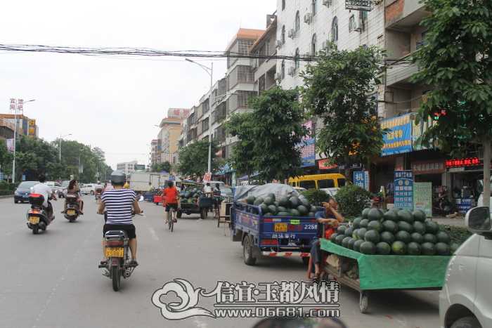 DPP_0029.JPG