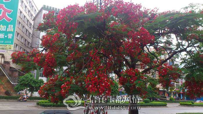 DSC_0077.jpg