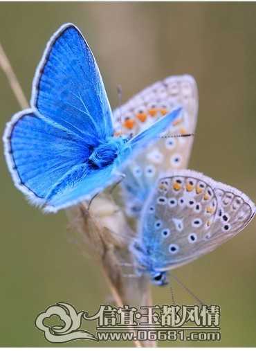 QQͼƬ20140517125133.jpg