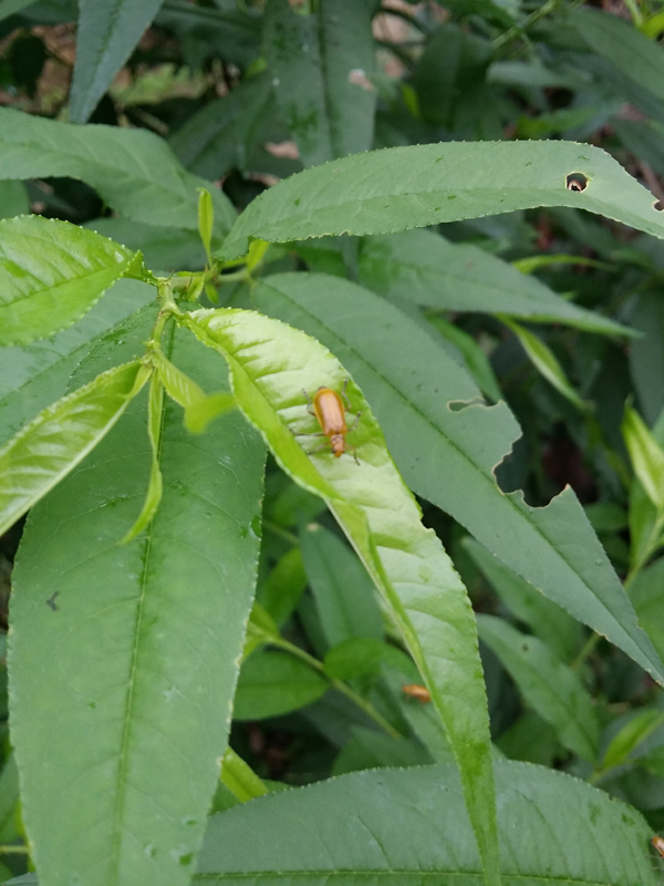 20140424_144253.jpg