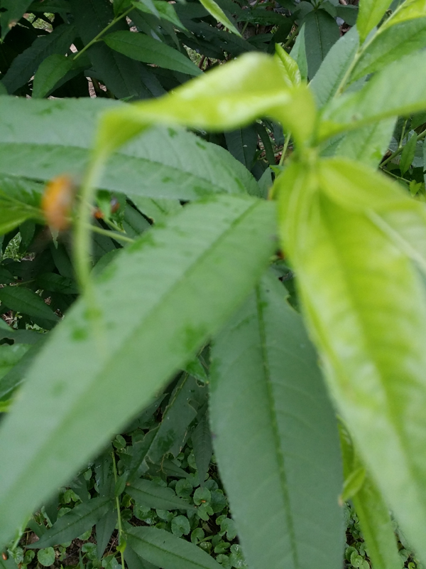 20140424_144306.jpg