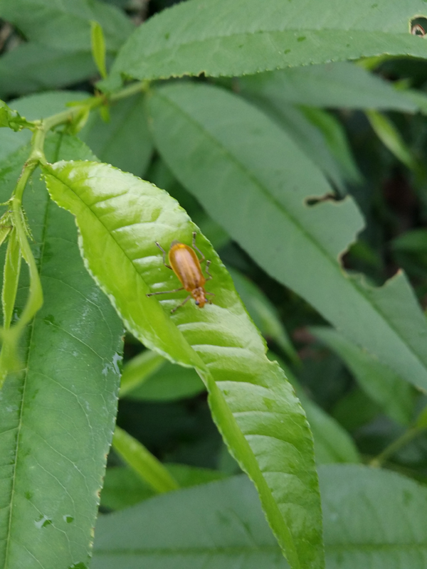 20140424_144309.jpg